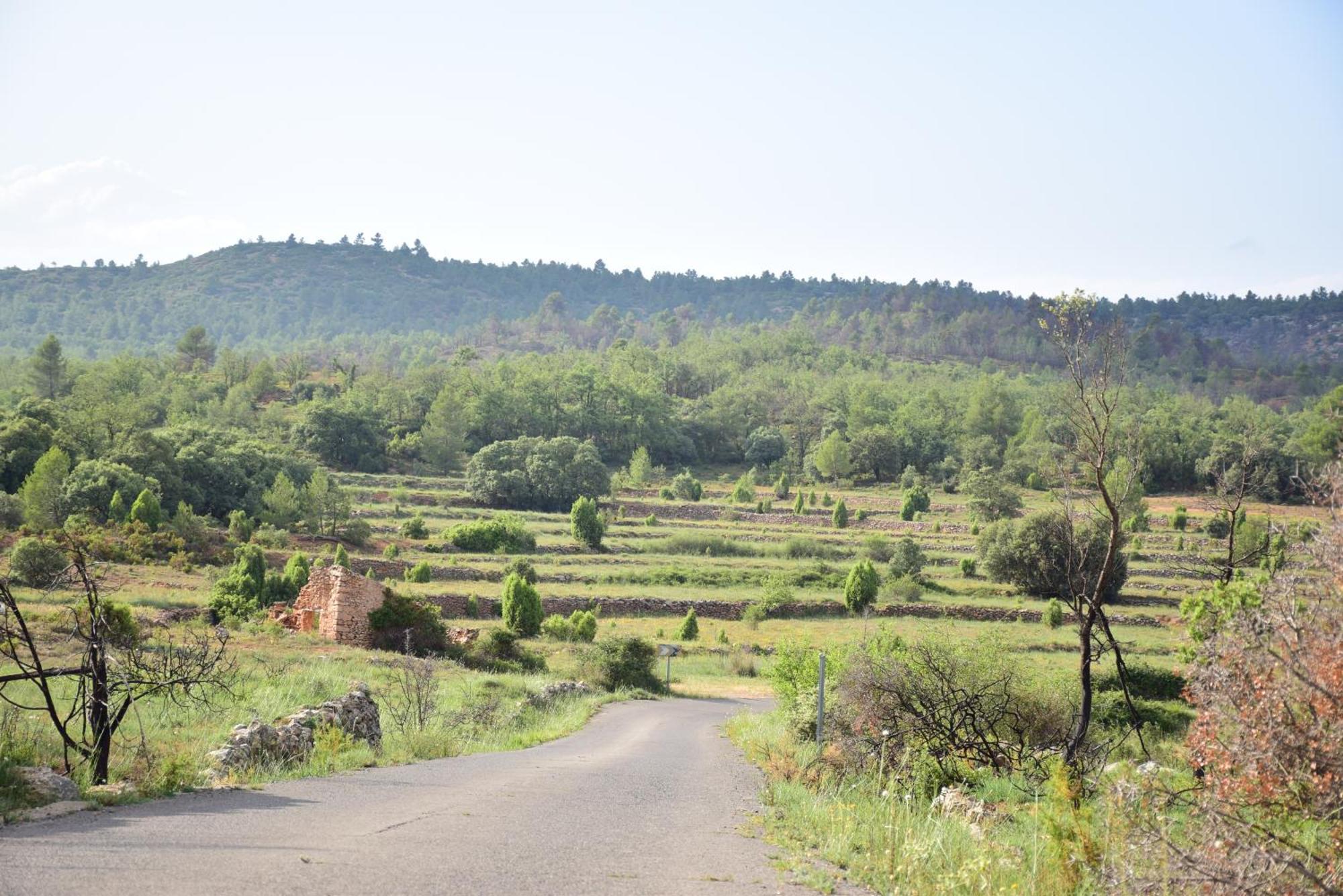 Willa Oasis Rural Los Pastores Zewnętrze zdjęcie